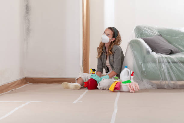 Reliable Hvac And Air Duct Mold Remediation contractor in Concord, MI by 24 Hour Mold Removal